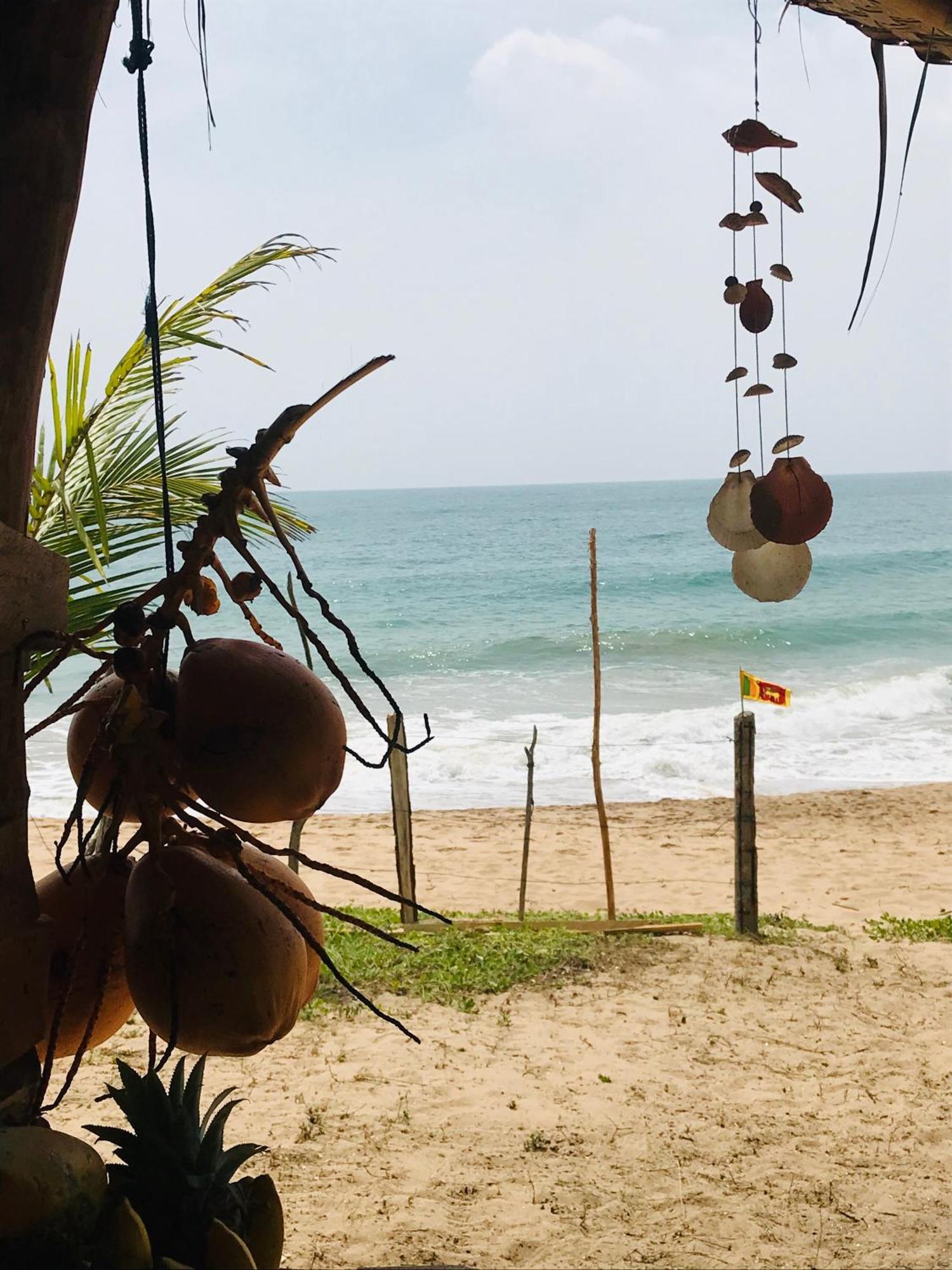 Waves And Seafood Villa