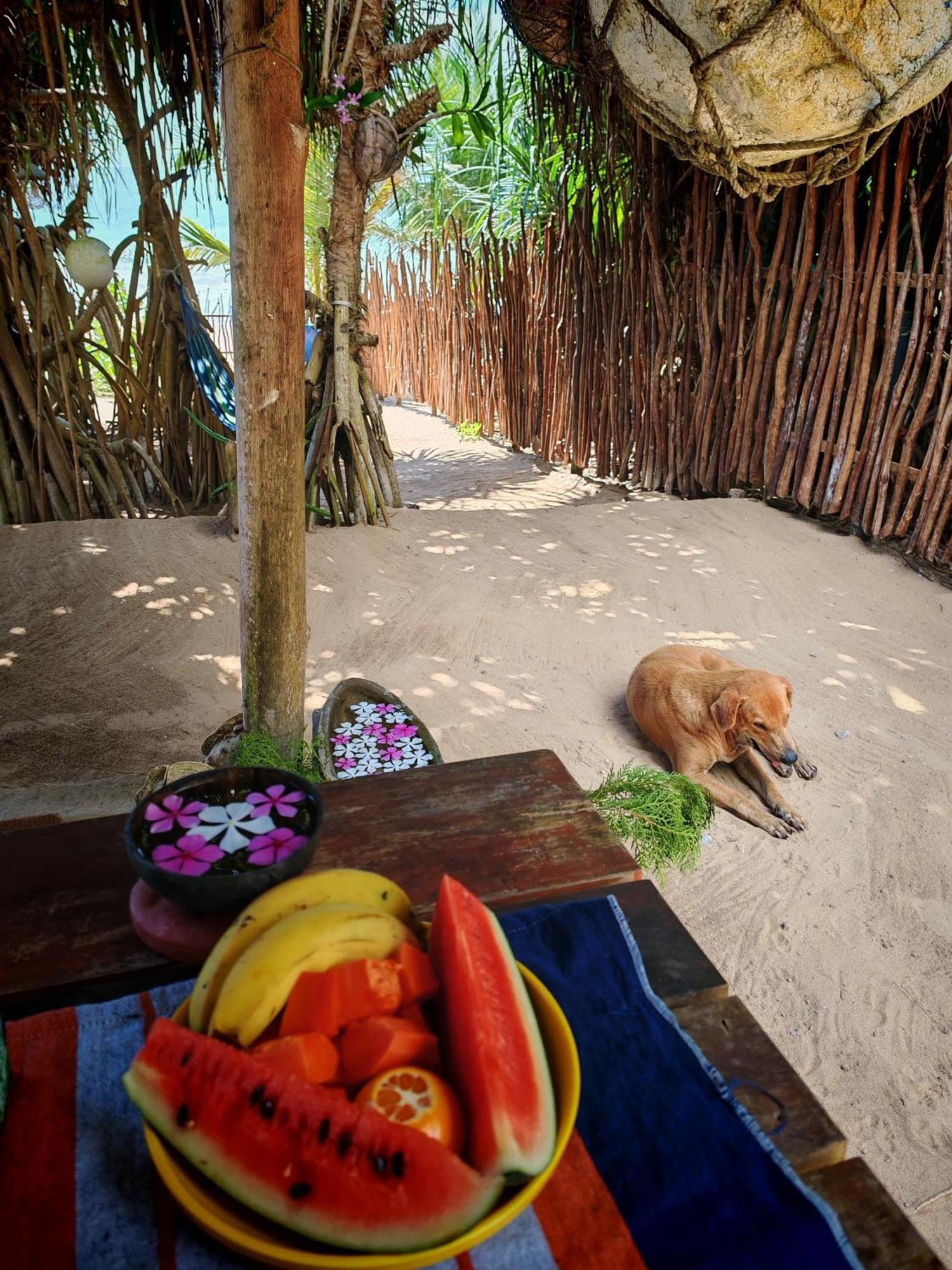 Villa Waves And Seafood Ranna